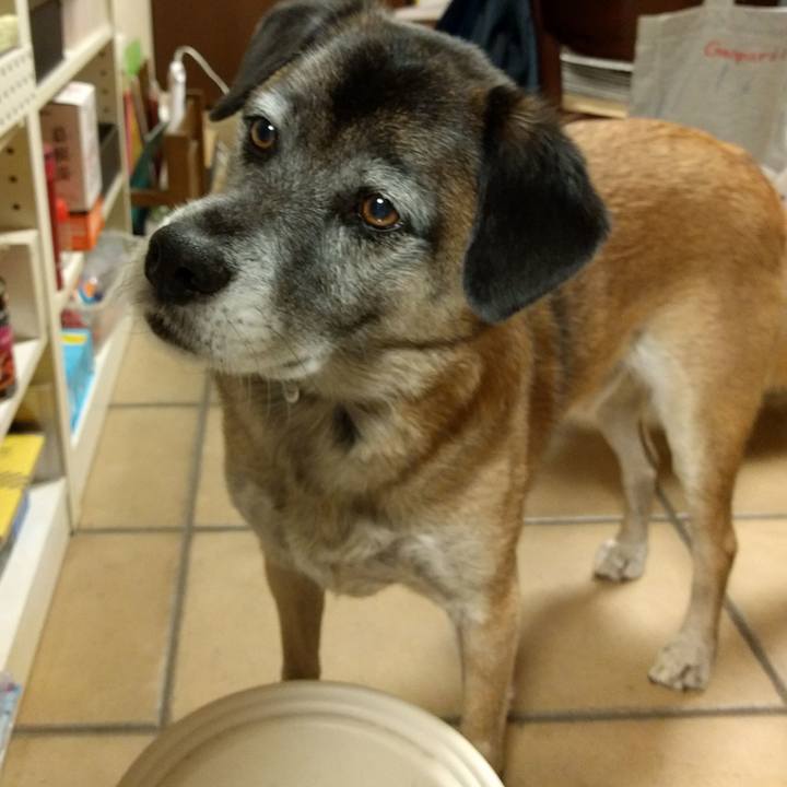 10fab87d dcbf 41b3 81ce 8d84f0414132