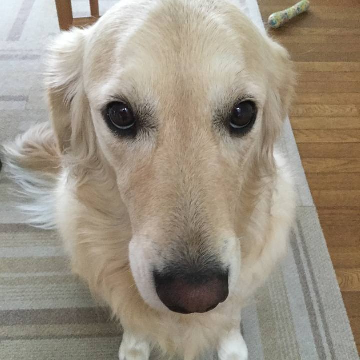 10fb33ce e666 49ad 80e6 48b70a00a6e6