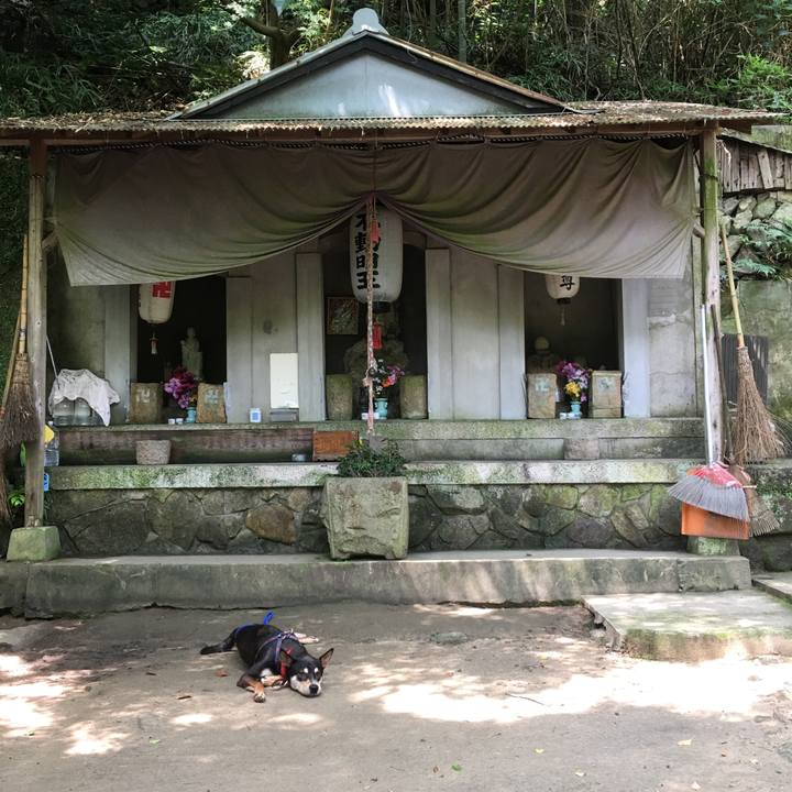 10fb5b4a 479e 4e93 9a24 730420773ed7