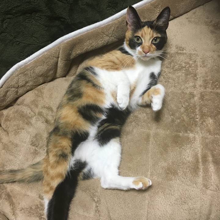 10fbd33c 243e 4893 a641 0e5048ff9f26