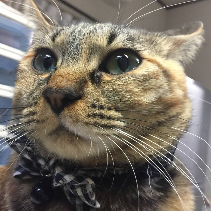 10fbee5e e3d1 4b04 a405 2d4e18f3e1a8