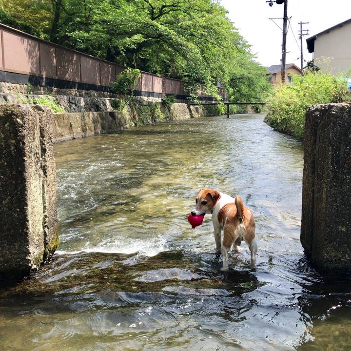 10fc7e14 18e6 4458 bbcb 02528925cb01