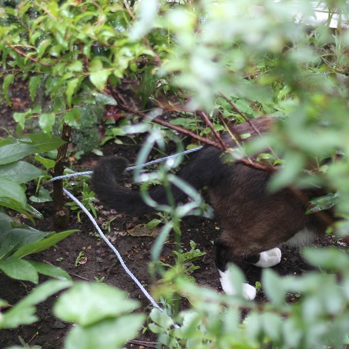 10fce2c1 3615 4b94 a5e8 8b59a9b6b1e1