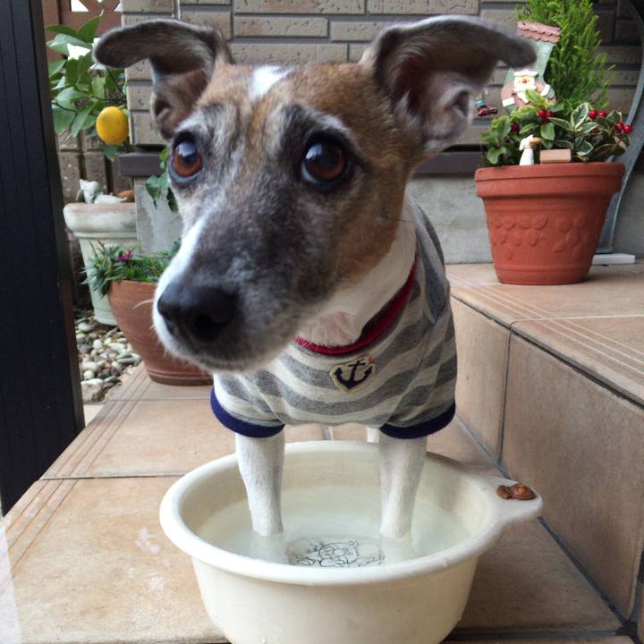 10fde16a dcf9 4aec 9bb5 d5af45dca9b9