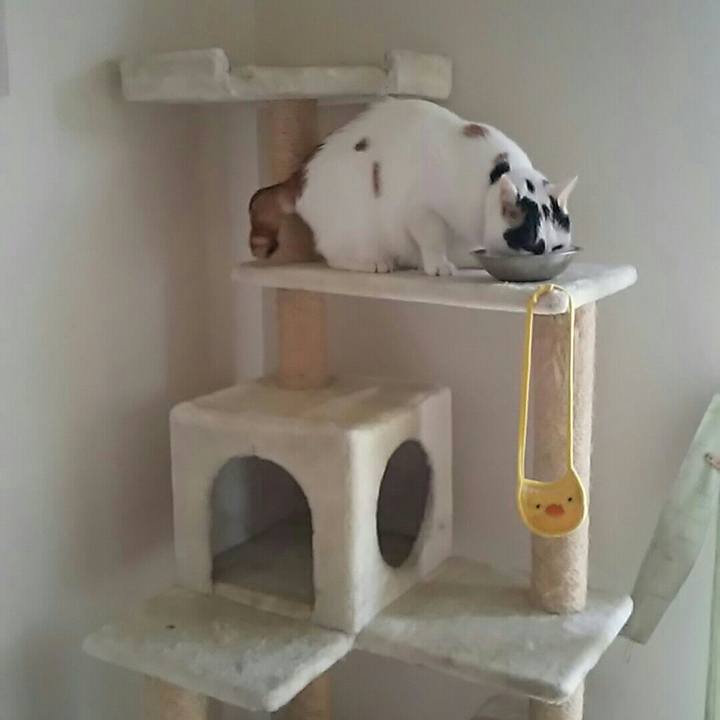 10fe1e0b 7bd3 4ea0 8177 9ff094e4af62