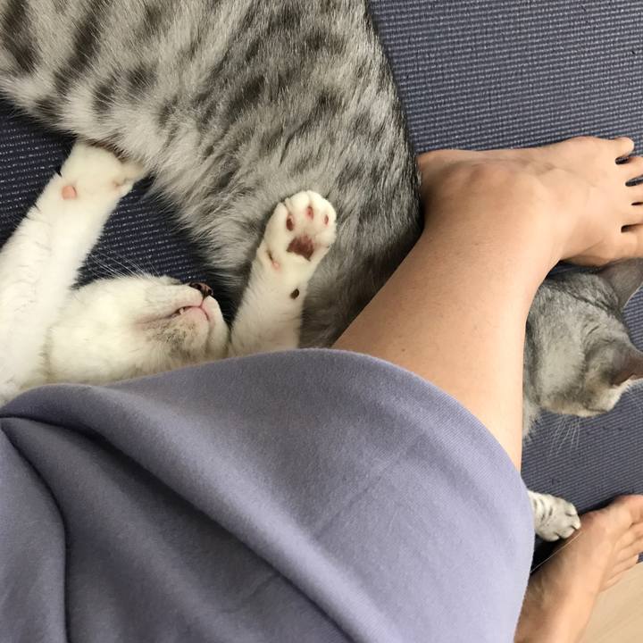 10fe4679 d798 4e51 9a0c 4b45054f8d96