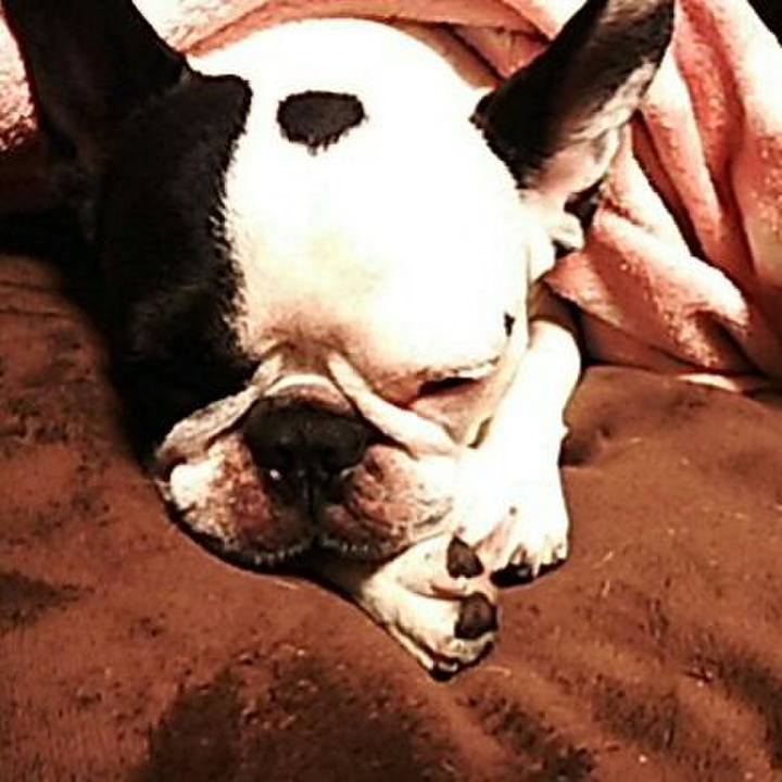 10fe72c4 6594 4f71 a722 9248a4c1c046