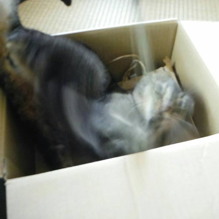 10fe7ec6 79ab 428f 9493 388b361312bb