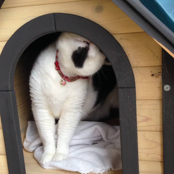 10feeb46 ff6d 4ffb b5a1 b5184006392b