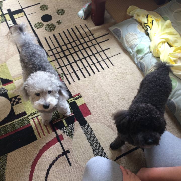 10ff29d3 6bf3 478a bec6 055a57d4848f