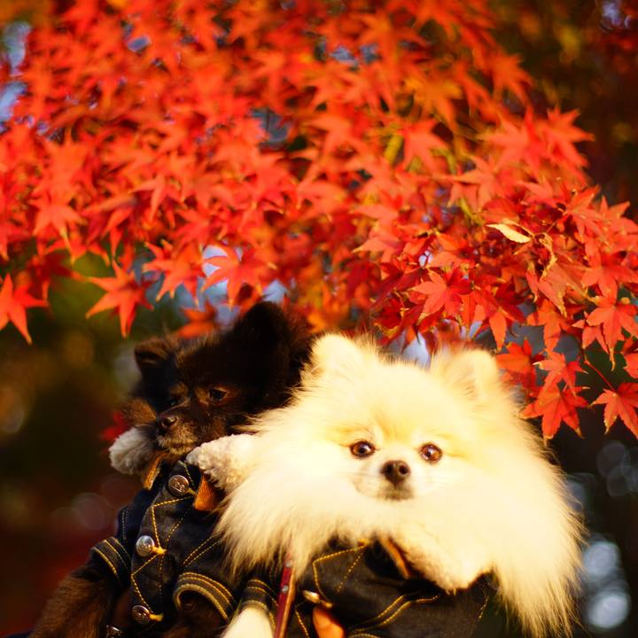 10ff6fcf d914 4bc8 bbf1 4d8f6f7898ad