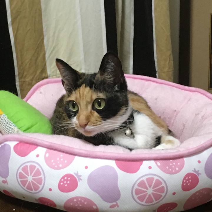 10ffce99 69e4 4f87 a540 225eb4150b06