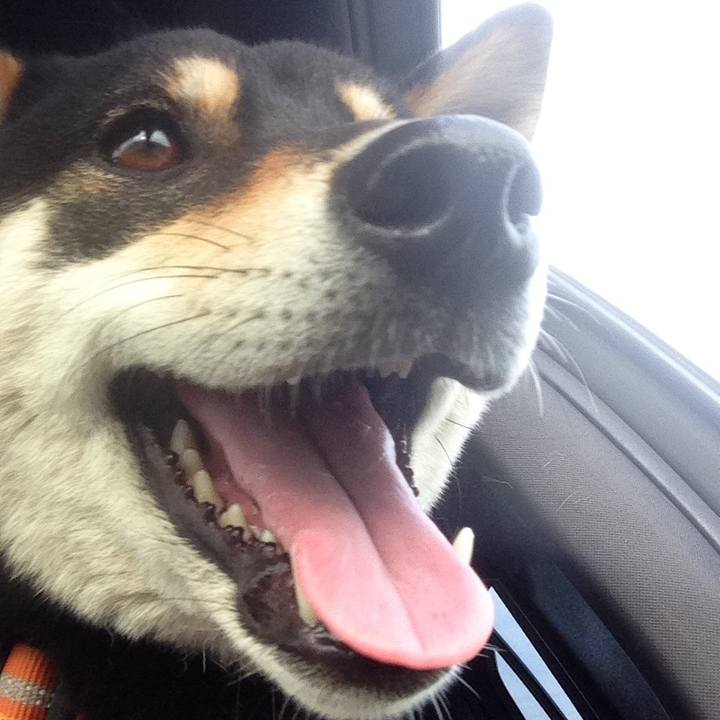 11001935 9e3d 4d79 adf8 607589c15db1