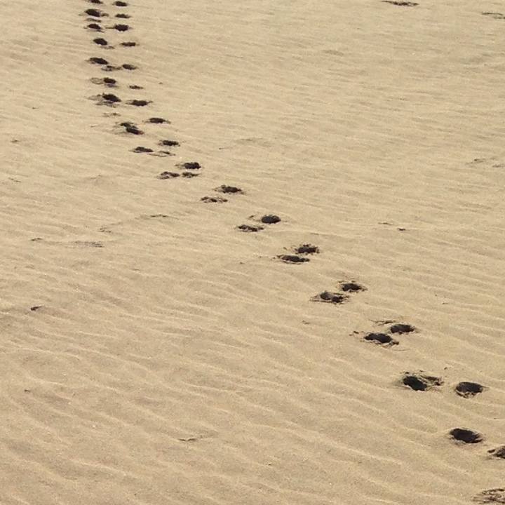 110085d9 ad1a 418f 981f dac3f2f9fe5e