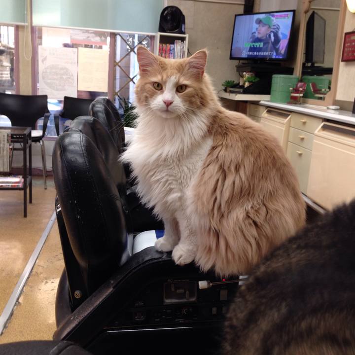 1100b953 7e7d 458d bc95 499be31d2275