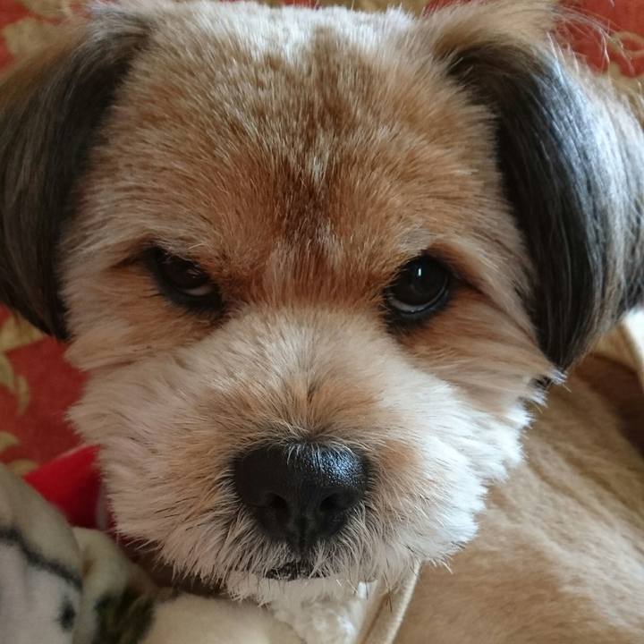 11014812 bc39 4d90 9627 0d899207f114