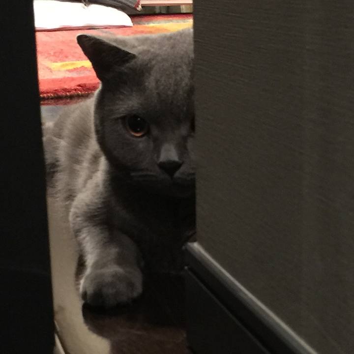 110160f8 ea55 418c 9589 85b84480d22e