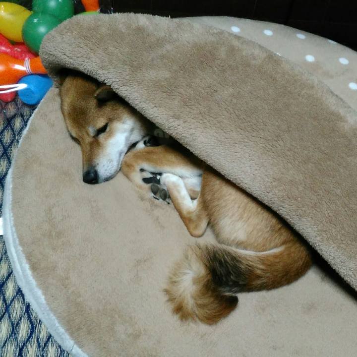 1101d58b f99b 4028 b71e b6a8a9f7bc53