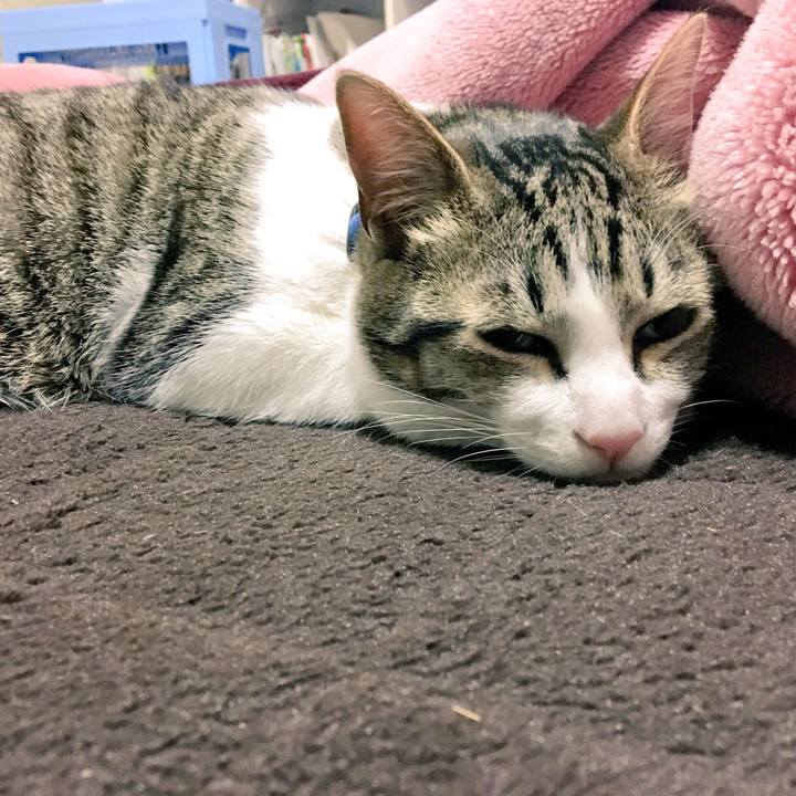 11023db5 a7ea 40bf 8e73 bca41de21c26