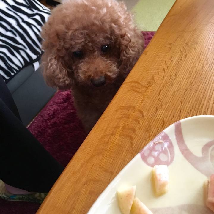 1102c2d3 8d29 4ac6 ac5d 23b5f5b32252