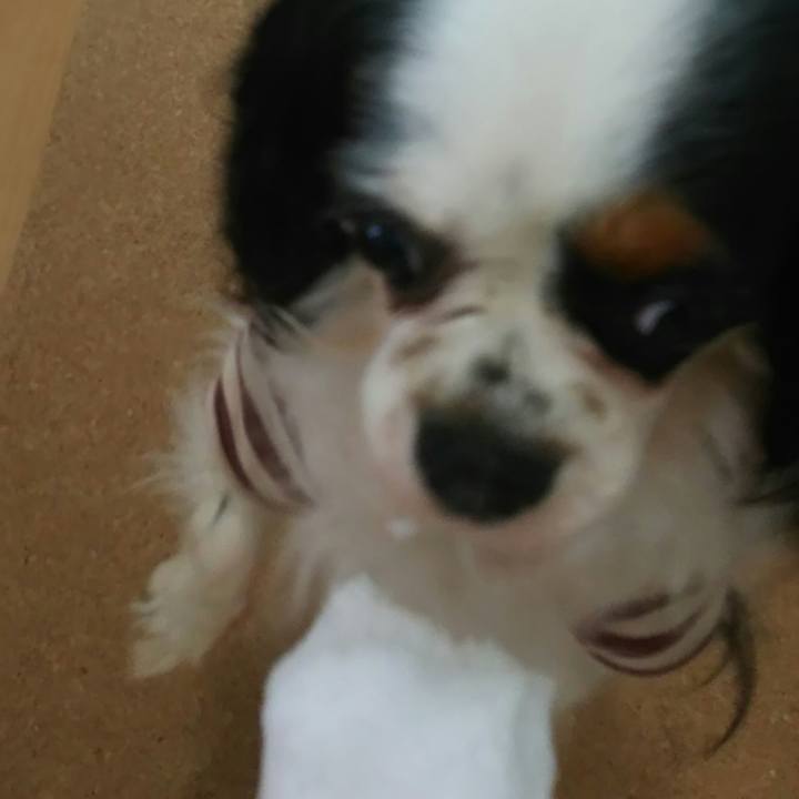 110356dd 01fc 4a43 9c06 dd5c2075e372