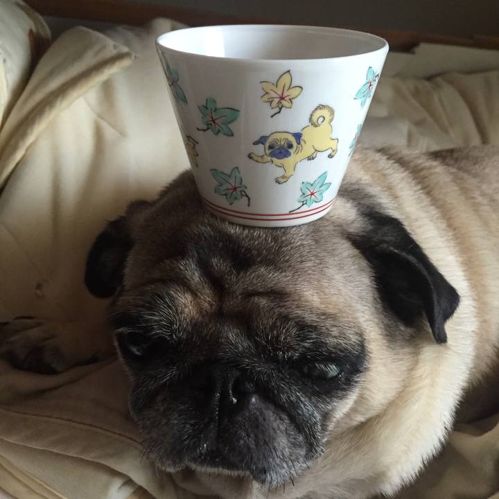 1104190a 0082 47bd a0bb 1b2553181b9f