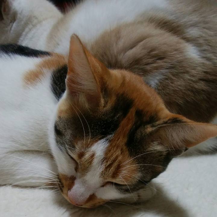 11043290 05a3 4827 b1d0 cf0dfa0eaeae