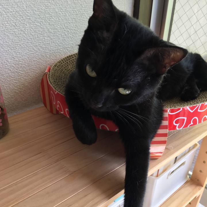 1104c354 51fd 4340 bfb8 9946ece09319