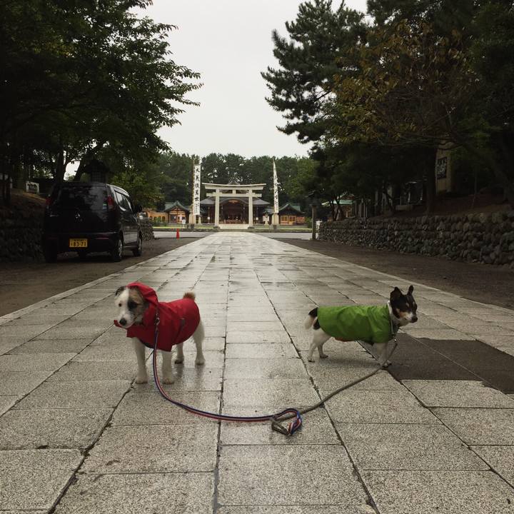 1104e0fe da04 4903 bd29 f459397c076f