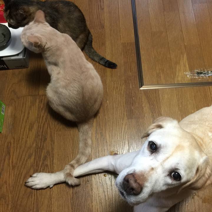 11050aac 493d 4762 92d0 c36235b3a346