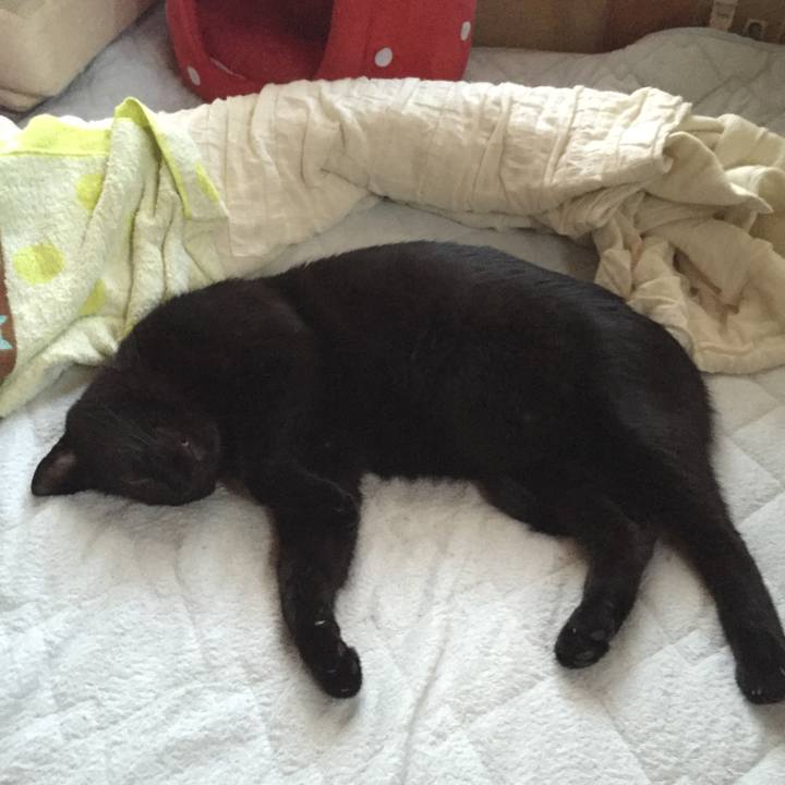 1105ba61 2b79 45e5 b99d 8e201288a7a1