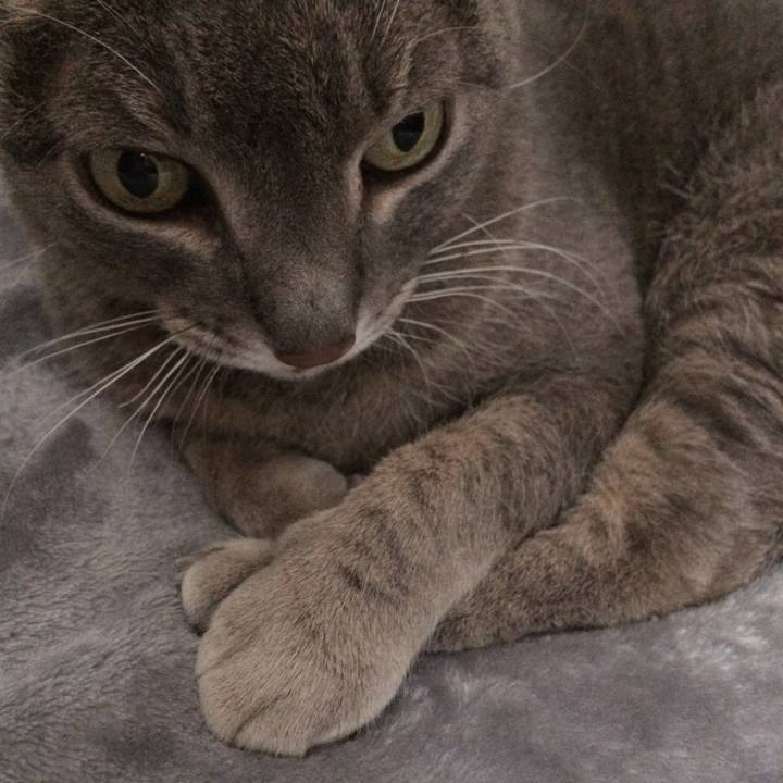 11064ede c5f7 44d0 96cd 4d418e58237b