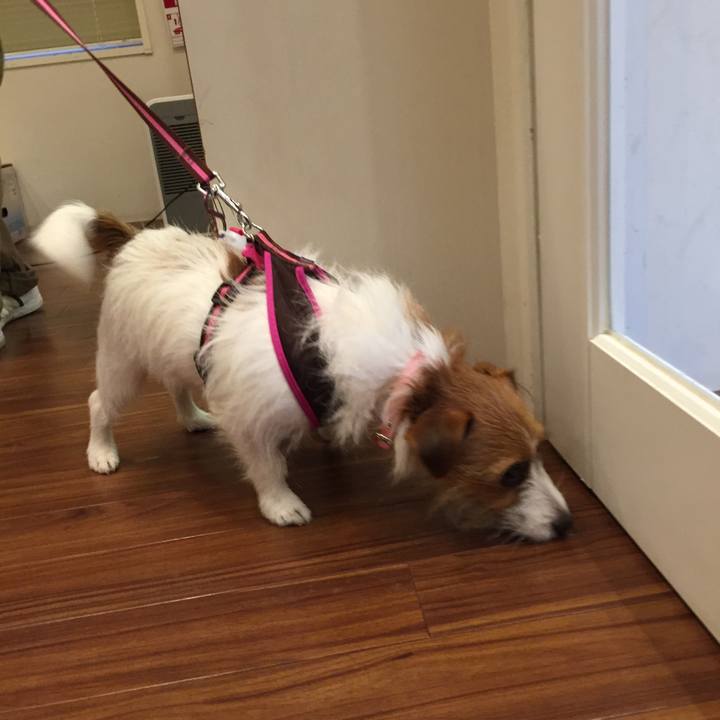 1106a41b 4165 4016 8220 681488cbba1e