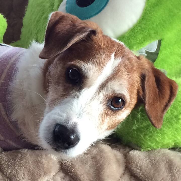 1107bde7 bb2d 478b 9561 7bdebb217941