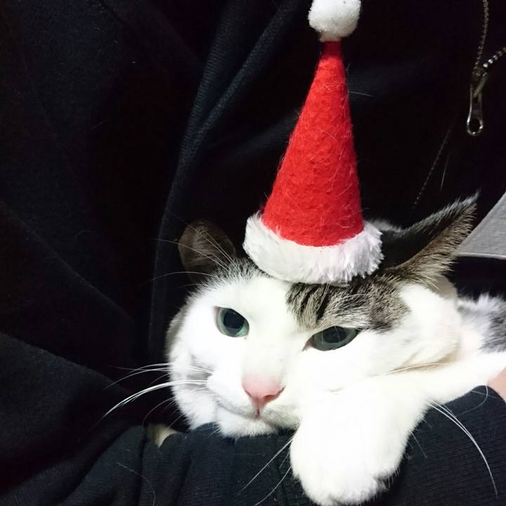 1107c7e0 9320 4e9f a476 d1052a264942