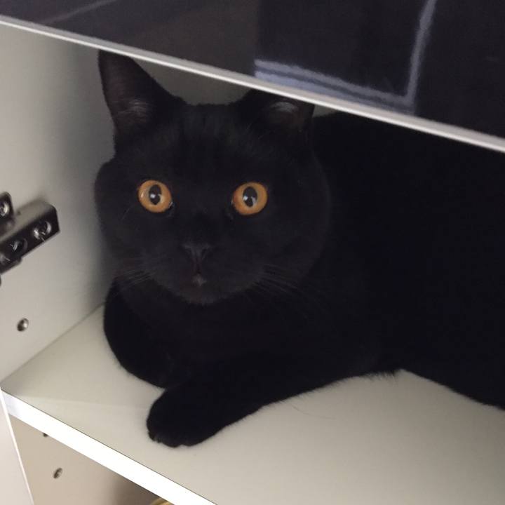 1107f46a 185a 4f85 81c9 7a9e6a4a91ff