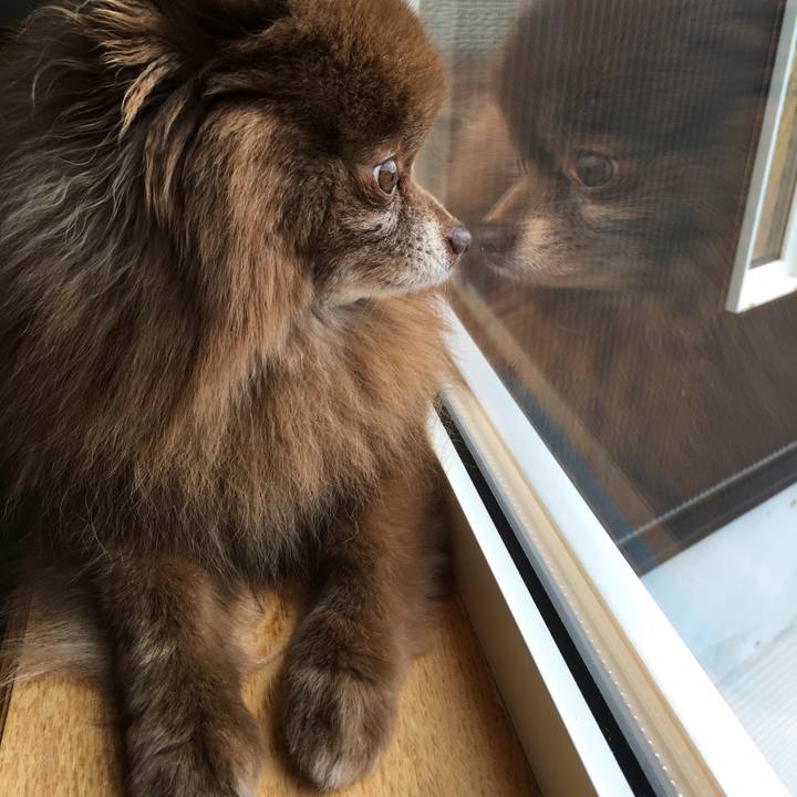 1108f5ed 1db7 4745 9c00 947cafcf8a1a