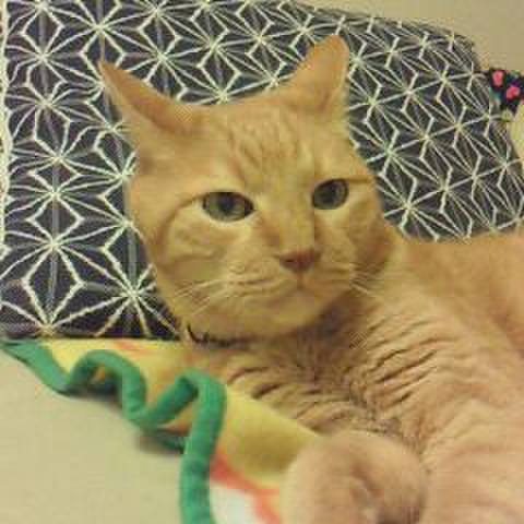 11095513 2644 4b65 863c 64fdcd7ff535