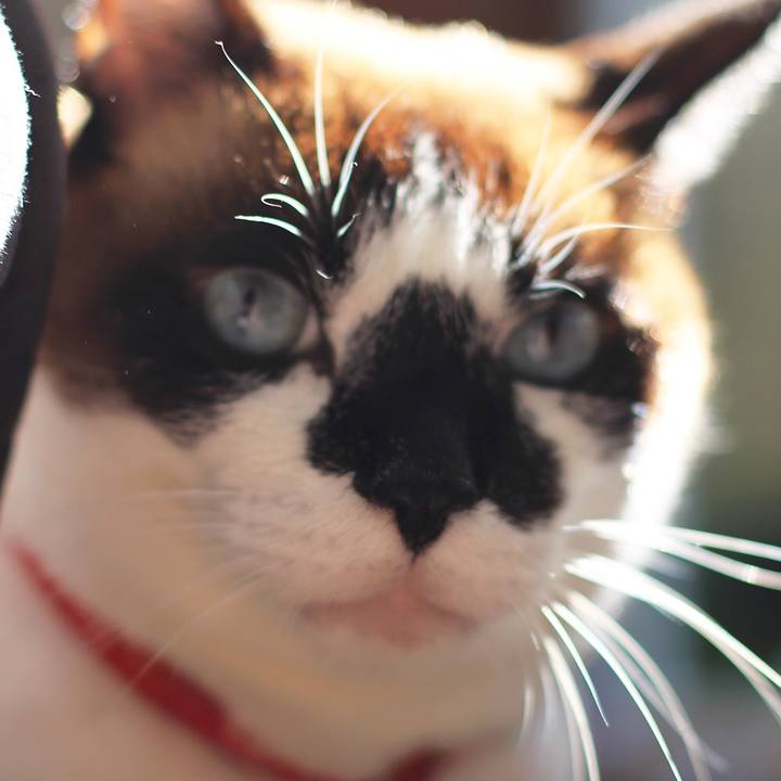 110968d0 e8f6 43ac 8c75 26dddbb86713