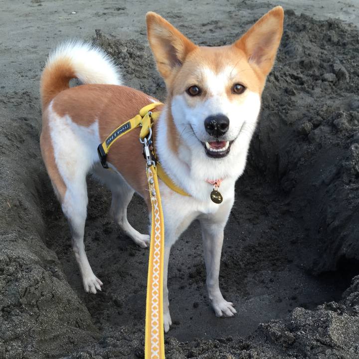 1109cfa1 a6d8 45b1 9219 f3be04e3c961