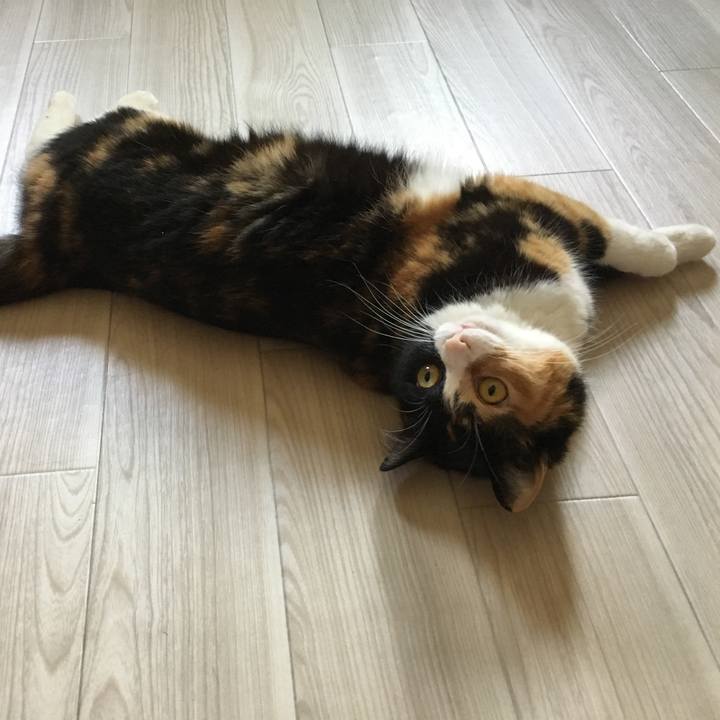 110a04b7 5ecf 4949 8b8d 37c9cfc47f70