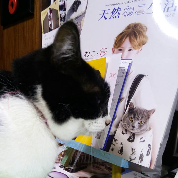 110a5be8 3db4 4f4f bccc dd664384624c