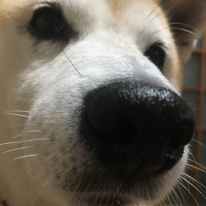 110aac7d 6079 4926 9352 5be59f0920bc