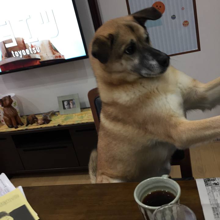 110acb6c 25ca 4414 9a3b 50ca8c775386