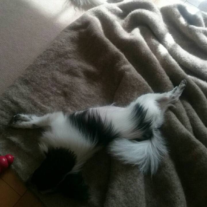 110bd88d 55f4 4ace 8b5e 36a1ab2b4a10