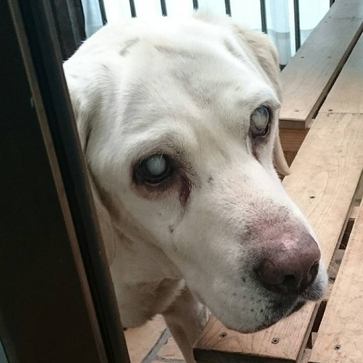 110bff11 cae3 442a b751 9db8e7761bbe