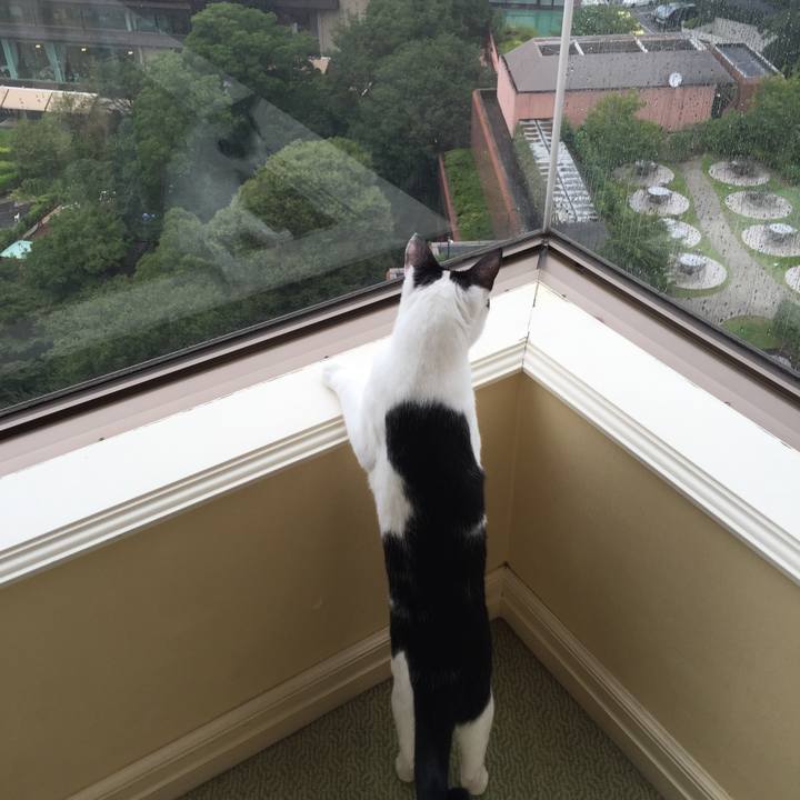 110c16a1 1ef0 4a89 9b6b b3adfd162054