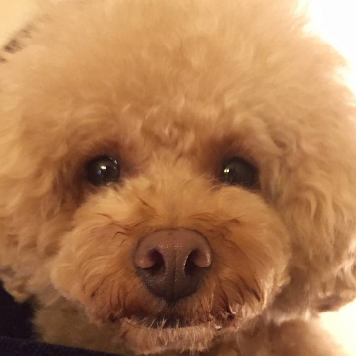 110d0fe8 3eea 43bf ae64 cf493c71dd87