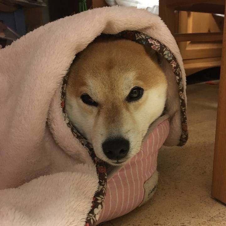 110d5164 599e 4d2a 8c47 92683be800ea