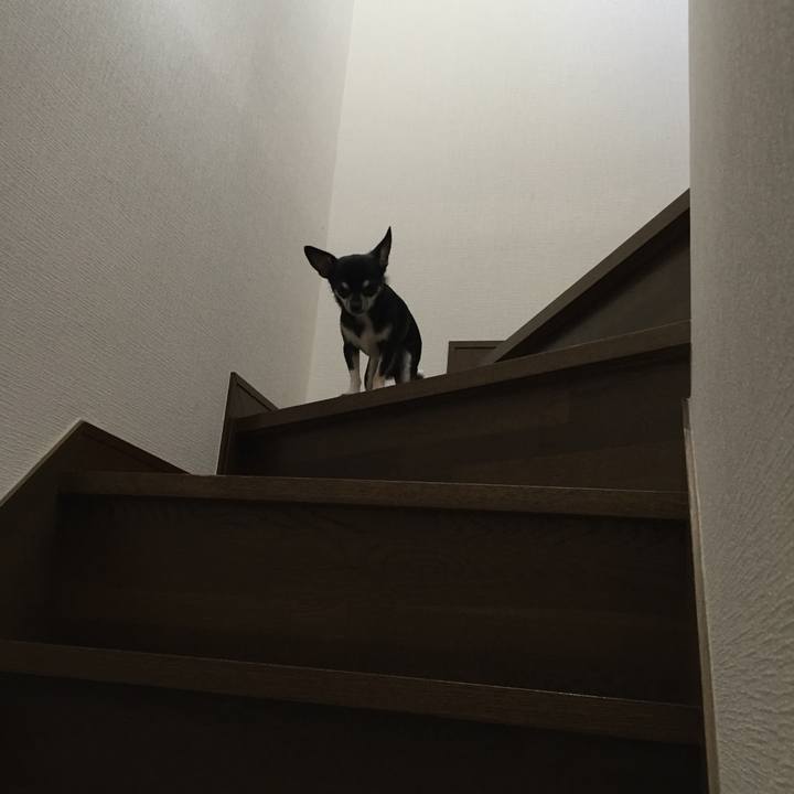 110f7099 4850 450e a8e5 ef1920d0a403